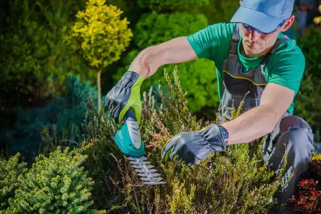 landscaping services East Pepperell